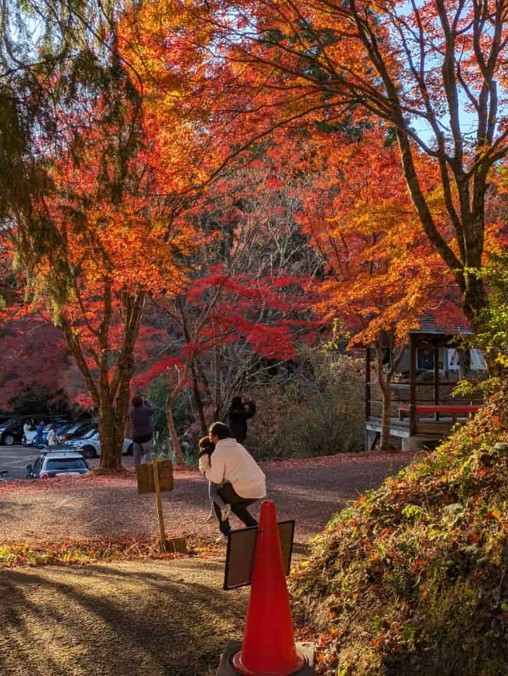 紅葉と親子